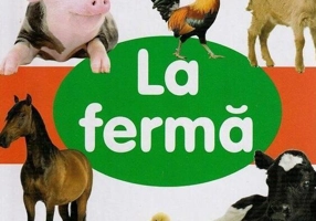 La fermă - Hardcover - Flamingo