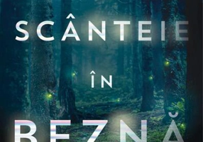 Scânteie în beznă - Paperback brosat - Stacy Willingham - Nemira