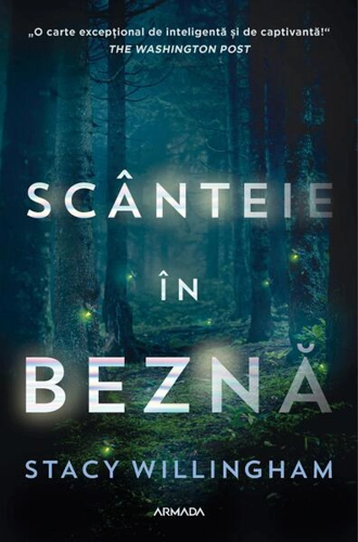 Scânteie în beznă - Paperback brosat - Stacy Willingham - Nemira