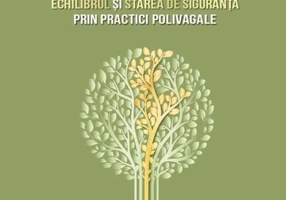 Ancorat - Paperback brosat - Deb Dana - Herald