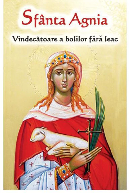 Sfânta Agnia - Vindecatoare a bolilor fără leac - Paperback brosat - *** - Ortodoxia