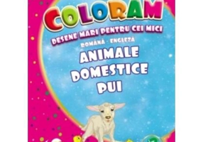 Animale domestice pui. Desene mari pentru cei mici română-engleză - Paperback - Eurobookids