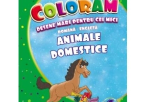 Animale domestice. Desene mari pentru cei mici română-engleză - Paperback - Eurobookids