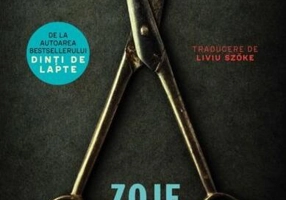 La cuțite - Paperback brosat - Zoje Stage - Leda