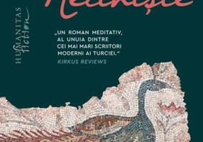 Neliniște - Paperback brosat - Humanitas Fiction