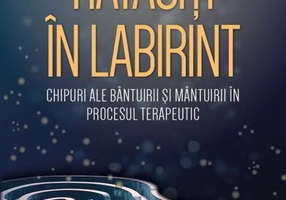 Rătăciți în Labirint - Paperback brosat - Lavinia Bârlogeanu - Herald