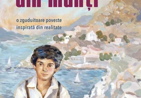 Băiatul din munți - Paperback brosat - Sophia