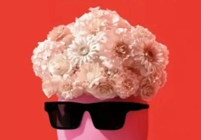 Ultimul vis - Paperback brosat - Pedro Almodóvar - Litera