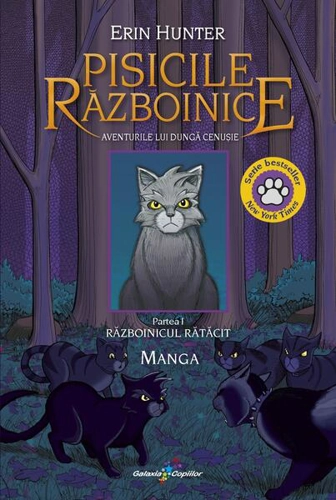 Aventurile lui Dungă Cenușie – Războinicul rătăcit (Vol. 1) - Paperback brosat - Galaxia Copiilor