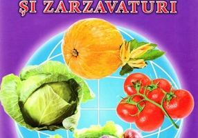 Legume și zarzavaturi - Hardcover - Silvius Libris