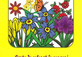 Florile - Pescăruș