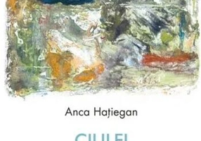 Ciulei și spectrul Tatălui - Paperback brosat - Anca Hațiegan - Litera