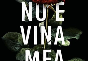 Nu e vina mea - Paperback brosat - Victoria Selman - Bookzone