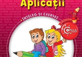 Reguli de scriere - Paperback - Nicoleta Nedelescu, Petriţa Vlaicu, Daniela Chindea - Litera