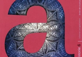 Concentrat de istorie. Clasa a VI-a - Paperback brosat - Maria Ochescu - Art Klett