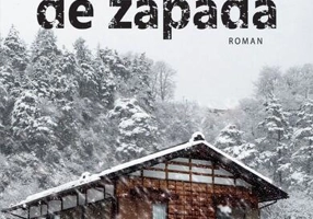 Furtuna de zăpadă - Paperback brosat - Niculescu