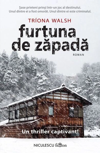 Furtuna de zăpadă - Paperback brosat - Niculescu