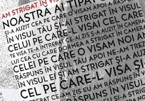 Am strigat în vis - Paperback brosat - Dan Ciupureanu - Cartier