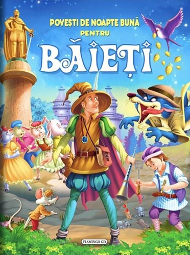 Povești de noapte bună pentru băieți - Hardcover - Flamingo