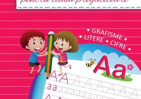 Caiet de scriere pentru clasa pregătitoare - Paperback - *** - Didactica Publishing House