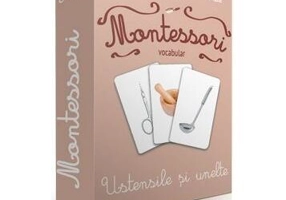 Vocabular. Ustensile și unelte (2+ ani) Cărți de joc - Board book - *** - Gama