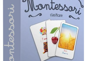 Anotimpuri - Board book - Gama