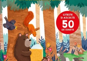 Bebe învață. Ascult și descopăr. Primele mele povești cu sunete - Hardcover - Anna Taube, Joanne Partis - Litera mică