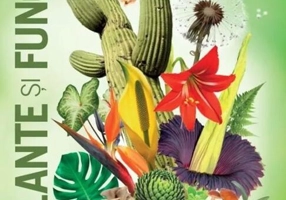 Enciclopedia cunoașterii. Plante și fungi - Hardcover - Dorling Kindersley (DK) - Litera