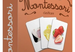 Cele 5 simțuri - Board book - Gama