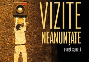 Vizite neanunțate - Paperback brosat - Iulian Popa - Humanitas