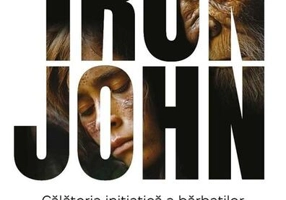 IRON JOHN - Paperback brosat - Robert Bly - Herald