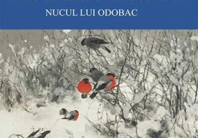 Din lumea celor care nu cuvântă