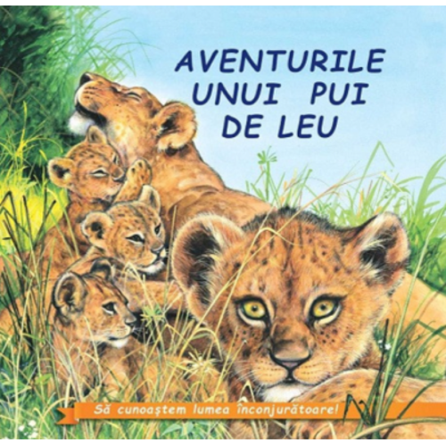 Aventurile unui pui de Leu. Sa cunoastem lumea inconjuratoare!