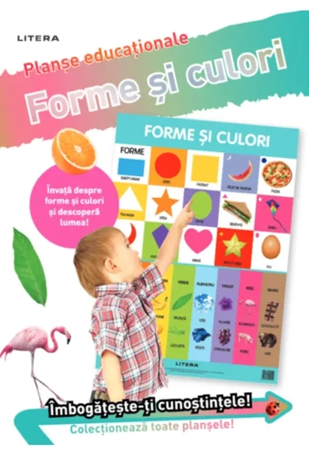 Forme și culori. Planșe educaționale - Paperback - *** - Litera