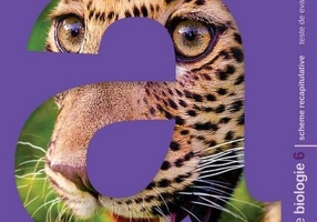 Concentrat de biologie. Clasa a VI-a - Paperback brosat - Ioana Ariniş, Monica Popa - Art Klett