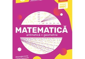 Matematica. Aritmetica, geometrie. Clasa a 6-a. 2024 Standard
