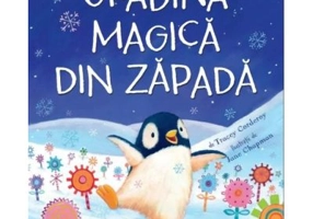 Gradina magica din zapada