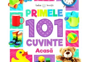 Bebe invata. Primele 101 cuvinte. Acasa