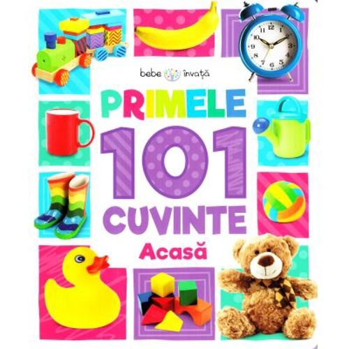Bebe invata. Primele 101 cuvinte. Acasa