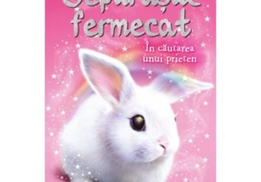 Iepurasul fermecat. In cautarea unui prieten. Prima mea lectura