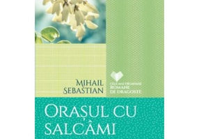 Orasul cu salcami. Accidentul