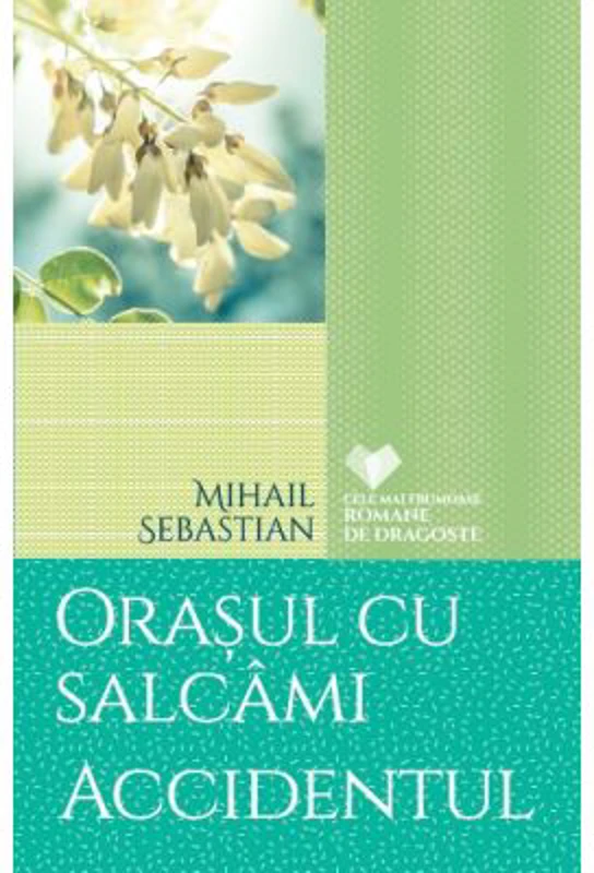 Orasul cu salcami. Accidentul