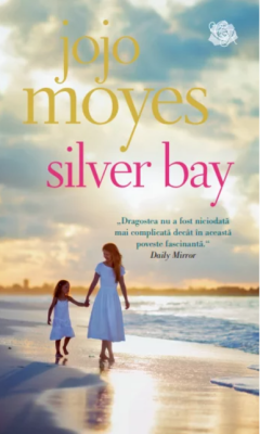 Silver Bay