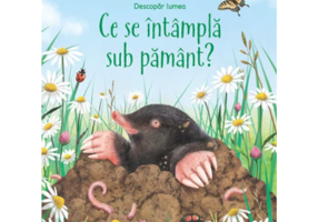 Ce se intampla sub pamant (Usborne)