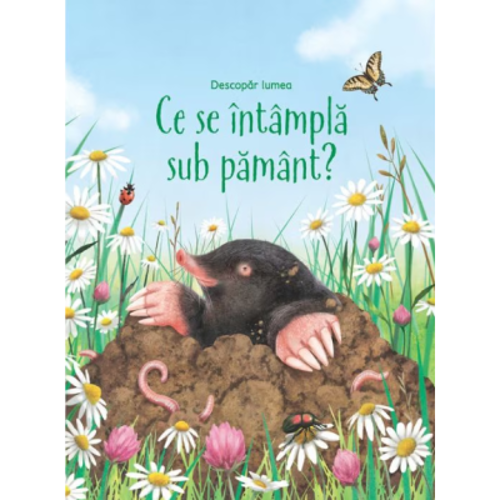 Ce se intampla sub pamant (Usborne)
