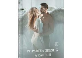 Pe partea gresita a raiului