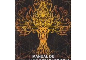 Manual de depanare-reparare prin Reiki Usui