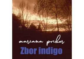 Zbor indigo