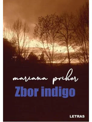 Zbor indigo