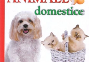 Animale domestice
